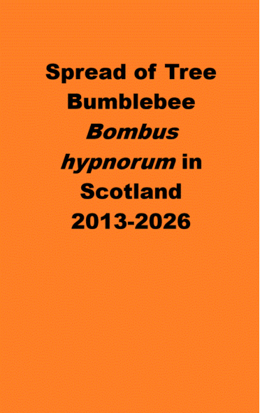 Bombus hypnorum spread